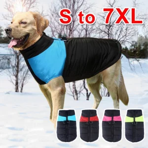 Abrigo de perro de invierno cálido impermeable ropa para clima frío ropa de algodón para perros al aire libre