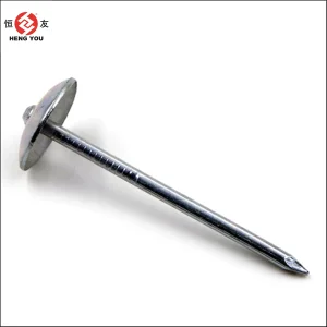 Galvanized Steel Nails and Standard Iron Nails for Building and Construction Projects Common Wire Nails