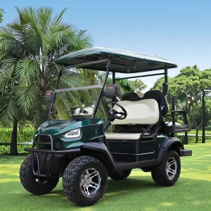 Electric Golf Carts for Adults Street Legal