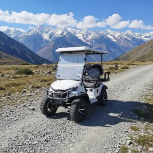 Solar Electric Golf Cart