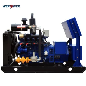 Home Use Lpg Gas Generator 20kw Compact Efficient LPG/Biogas/Natural Gas Turbine Generator Set with 400V/230V Output