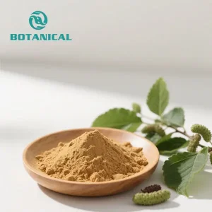 ODM Natural Mulberry Leaf DNJ Powder