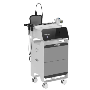 Factory Price 448k Ret Cat Thermal Therapy Deepba Weight Loss Body Shaping Rf Radio Frequency Beauty Machine