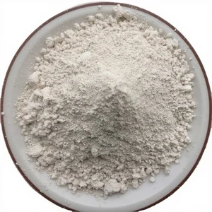 EU Certified Vegan Organic Rice Protein Powder