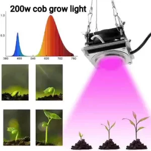 Full Spectrum COB Grow Light