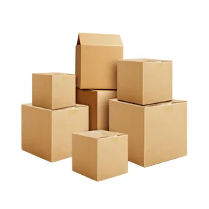 Branded Sustainable Shipping Solutions: Eco-Friendly Corrugated Carton Boxes for Safe &amp; Green Packaging Box