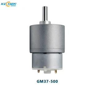 12V Brush DC Gear Motor