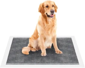 XL Super Absorbente Desechable de Bambú Carbón Perro PEE Almohadillas al por mayor