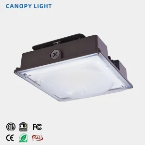 Commercial LED Canopy Light