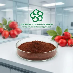 Rosehip Powder Extract