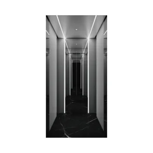 Fujivista Silent Sleek Design Low Power Consumption Residential Passenger Elevator