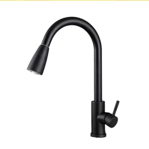Swivel Faucet