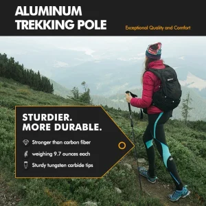 Camping Hiking Walking Stick