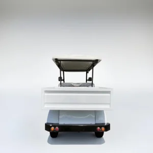 Folding Roof 4-Seater with Large Cargo Box for Hotel Reception Golf Cart