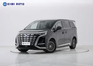 Tengshi D9 Phev MPV Vehicle