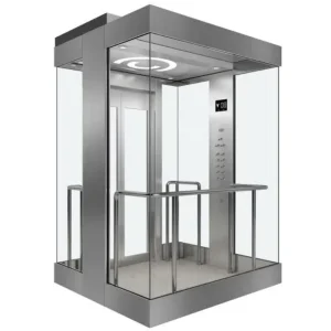 China Stainless steel home elevator Residential home elevator with fancy car Manufacturer