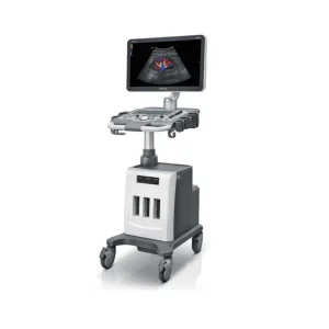 Ultrasound Imaging System