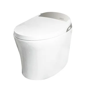 Italian Human Water Closet Smart Automatic Intelligent Toilet System