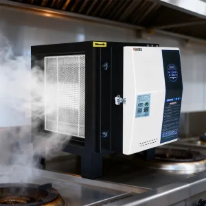 Commercial Airflow 4000m&sup3;/h ESP Smoke Filter For Restaurant Kitchen Oil Fume Removal Electrostatic Precipitator Air Purifier