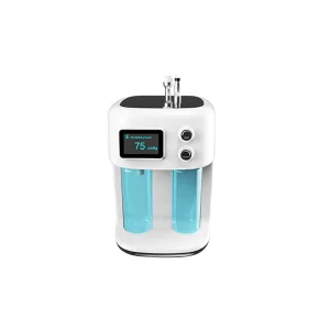 Hot Sell Wholesale Beauty Equipment Facial Care Pore Vacuum
