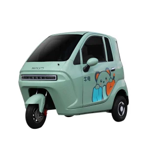 Wholesale 3 Wheel 2 Seat EEC Certified