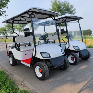Luxury Electric Golf Cart