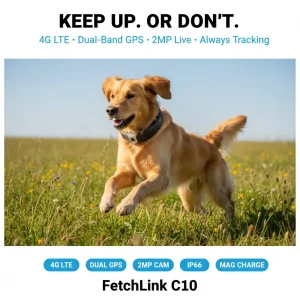 Dog Educator