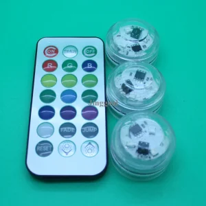 Waterproof Submersible LED
