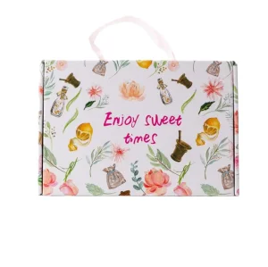 OEM Cardboard Carrying Case Folding Mailer Box