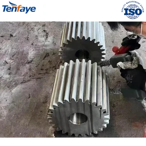 Tenfaye Precision Machined Duty Small Girth Gear and Pinion Shaft for Vertical Roller Mill Drive System in Mining and Building Material Processing Equipment