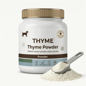 Thyme Powder Water Soluble Herbal Extract for Respiratory Wellness Antioxidant Support Supplement