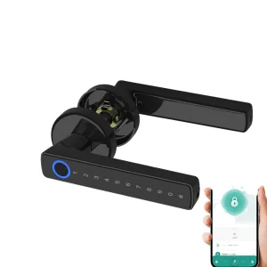 Cloud Storage Handle Lock