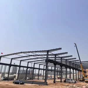 Metal Frame Construction Steel Structure Warehouse Workshop/Factory Building with Great Service