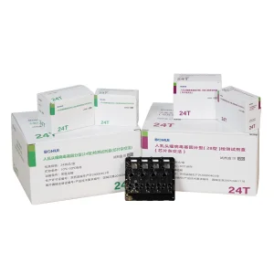 Professional Hpv Detection Analyzer: Precision Genotype Detection Solutions