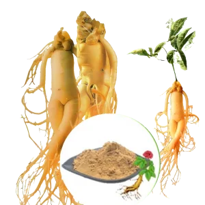 Ashwagandha Root Extract Powder