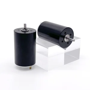 DC 12v 18v 24v Carbon Brush Electric Motor