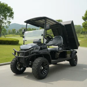 Premium Quality Electric Truck UTV 2-Seater Golf Cart with Cargo Box Automatic Dumper 500KG Load Capacity Electric Cargo Truck