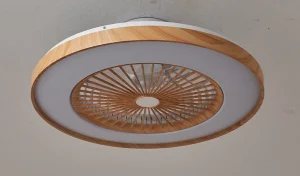 New Appliances Tuya Smart Reversible Motor Exhaust Hanging Ceiling Fan with LED Night Light