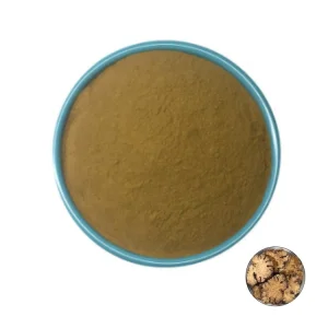 High Level Herbal Extract Rhizoma Chuanxiong