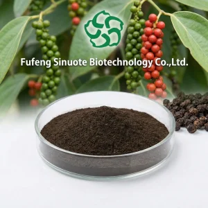 Piper Nigrum Extract Powder Black Pepper Extract (Standardized to 95% Piperine) Bioavailability Enhancer Ingredient cGMP Standard