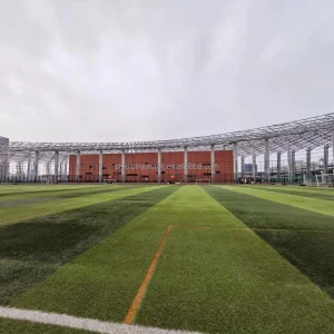 Modern Design Steel Structure Stadium Durable Versatile Sports Facility Buildings