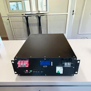 Modular Scalable 5KW LiFePO4 51.2V Energy Storage System Stackable Renewable Solar Power Integration CAN RS485 Communication