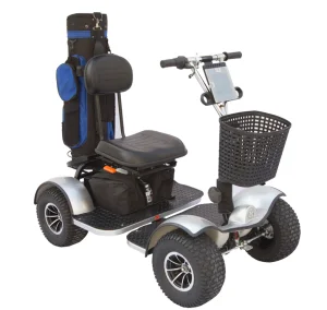 Affordable 48V Golf Cart