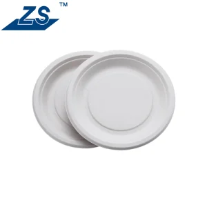 Eco-Friendly 9 Inch Disposable Plate