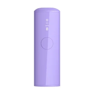 Household Mini IPL Hair Removal Device Handheld Portable Ice Point Pain Free Facial Full Body Hair Removal Device