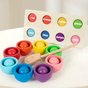 Montessori Color Sorting Cups Wooden Toys