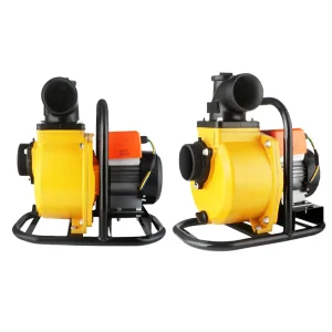 1HP 750W Solar Water Pumps Portable Brushless Motor Surface Water Pump with MPPT Controller