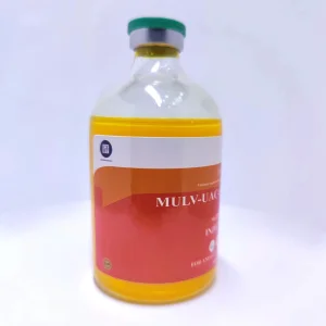 Add Nutrition Multivitamin Injection for Livestock Poultry Veterinary Use GMP Vitamin