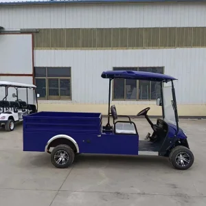 Passenger Utility Golf Cart with Aluminium Cargo Box