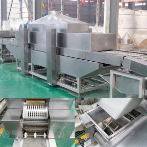 Linha de Produção Automática de Macarrão Instantâneo com Máquina de Macarrão de Alta Eficiência